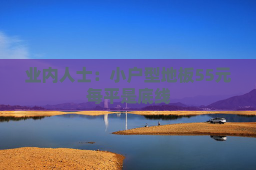 业内人士：小户型地板55元每平是底线