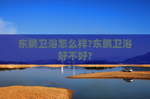 东鹏卫浴怎么样?东鹏卫浴好不好?