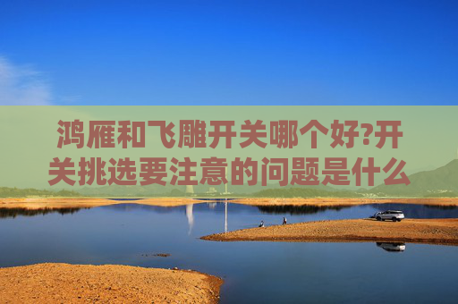 鸿雁和飞雕开关哪个好?开关挑选要注意的问题是什么?
