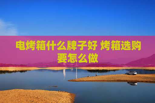 电烤箱什么牌子好 烤箱选购要怎么做