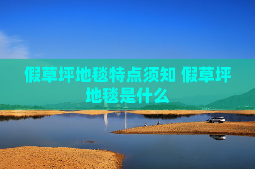 假草坪地毯特点须知 假草坪地毯是什么