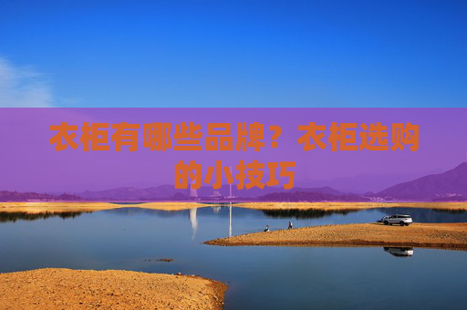衣柜有哪些品牌？衣柜选购的小技巧