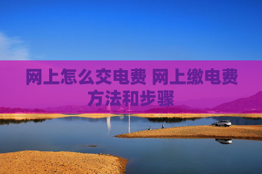 网上怎么交电费 网上缴电费方法和步骤