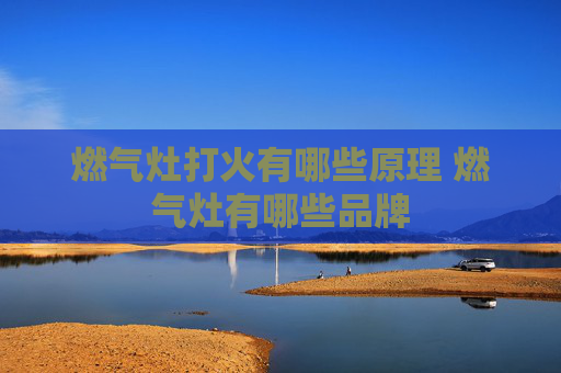 燃气灶打火有哪些原理 燃气灶有哪些品牌