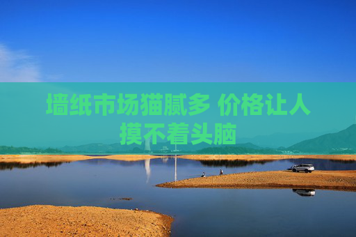 墙纸市场猫腻多 价格让人摸不着头脑