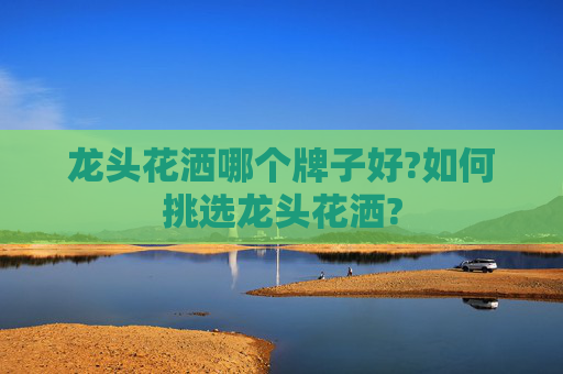 龙头花洒哪个牌子好?如何挑选龙头花洒?