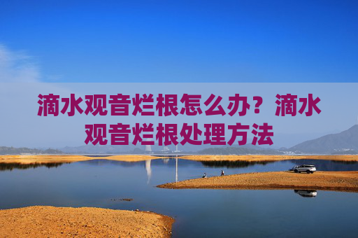 滴水观音烂根怎么办？滴水观音烂根处理方法