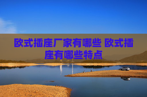 欧式插座厂家有哪些 欧式插座有哪些特点
