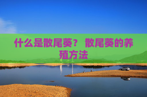 什么是散尾葵？ 散尾葵的养殖方法