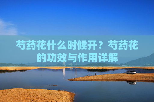 芍药花什么时候开？芍药花的功效与作用详解