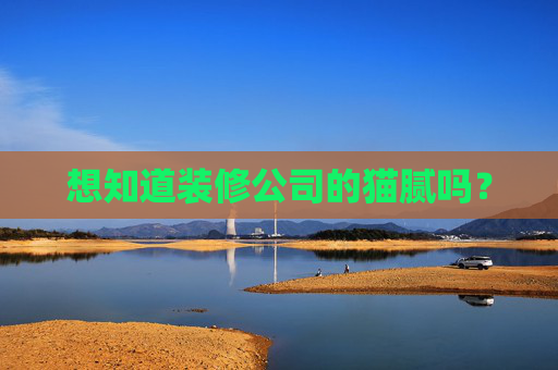 想知道装修公司的猫腻吗？