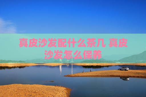 真皮沙发配什么茶几 真皮沙发怎么保养