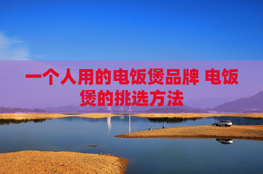 一个人用的电饭煲品牌 电饭煲的挑选方法