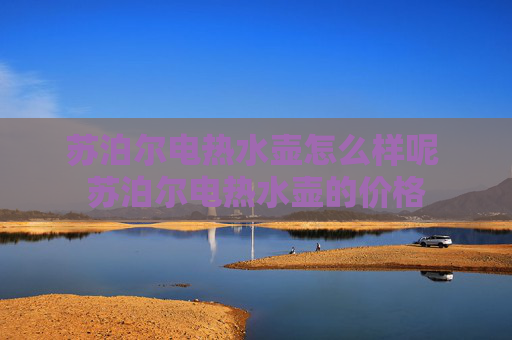 苏泊尔电热水壶怎么样呢 苏泊尔电热水壶的价格