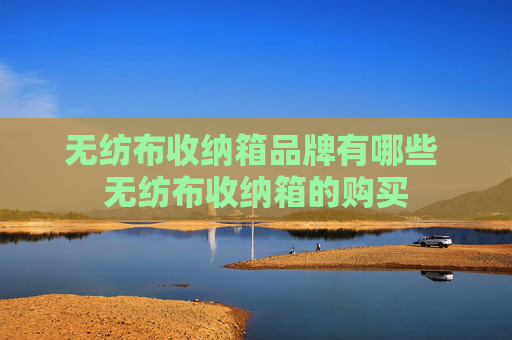 无纺布收纳箱品牌有哪些 无纺布收纳箱的购买