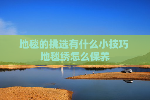 地毯的挑选有什么小技巧 地毯绣怎么保养