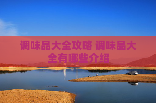 调味品大全攻略 调味品大全有哪些介绍