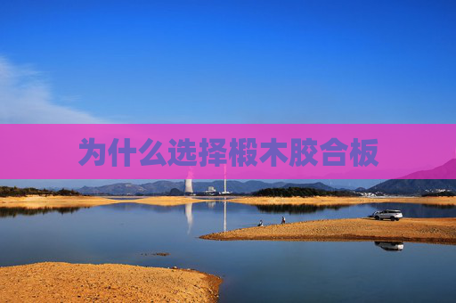 为什么选择椴木胶合板