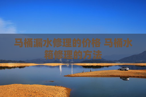 马桶漏水修理的价格 马桶水箱修理的方法