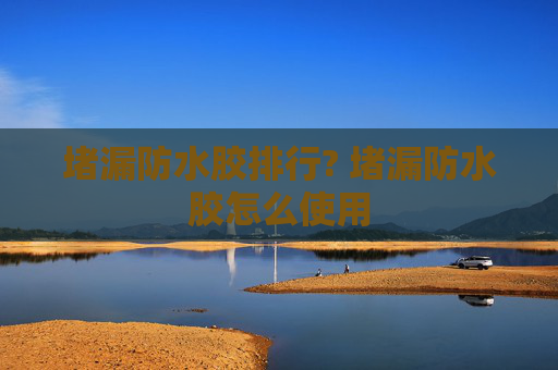 堵漏防水胶排行? 堵漏防水胶怎么使用