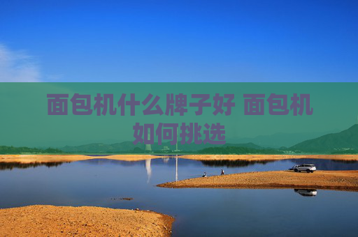 面包机什么牌子好 面包机如何挑选