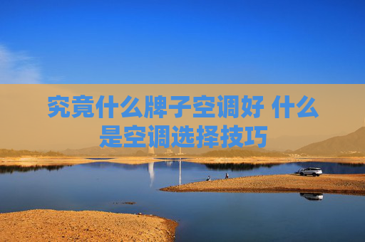 究竟什么牌子空调好 什么是空调选择技巧