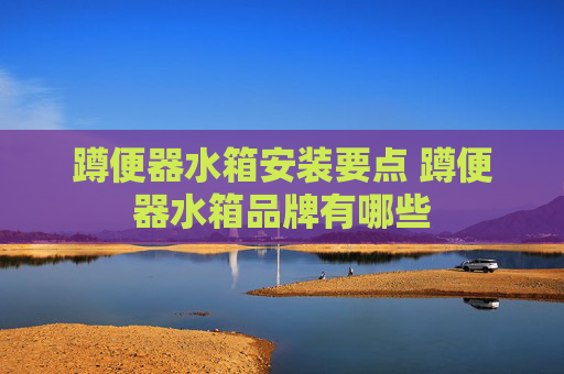 蹲便器水箱安装要点 蹲便器水箱品牌有哪些