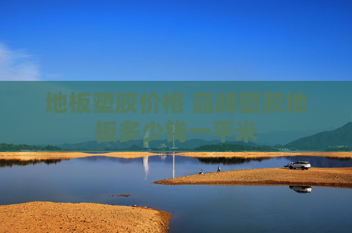 地板塑胶价格 品牌塑胶地板多少钱一平米